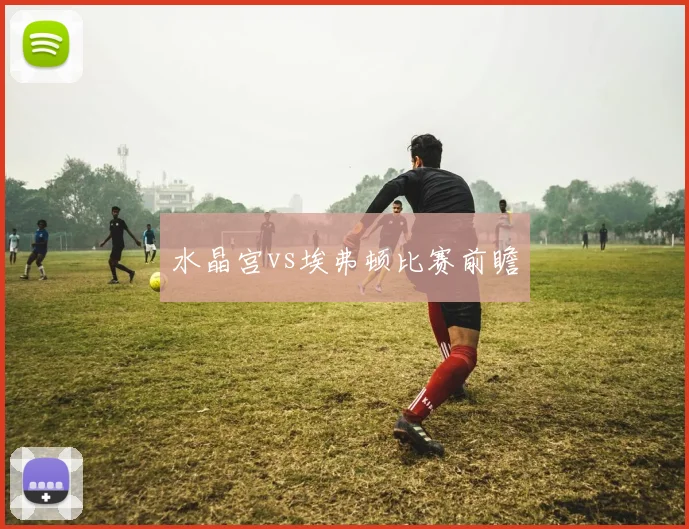 水晶宫vs埃弗顿比赛前瞻