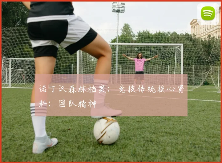 诺丁汉森林档案:竞技传统核心资料:团队精神